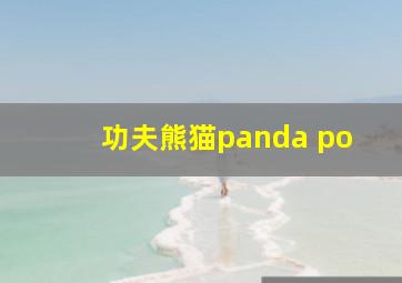 功夫熊猫panda po